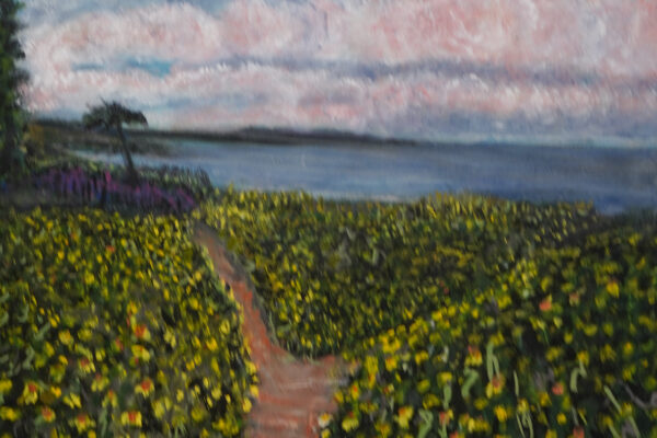 Where the path splits in highlands ofDel Mar California.