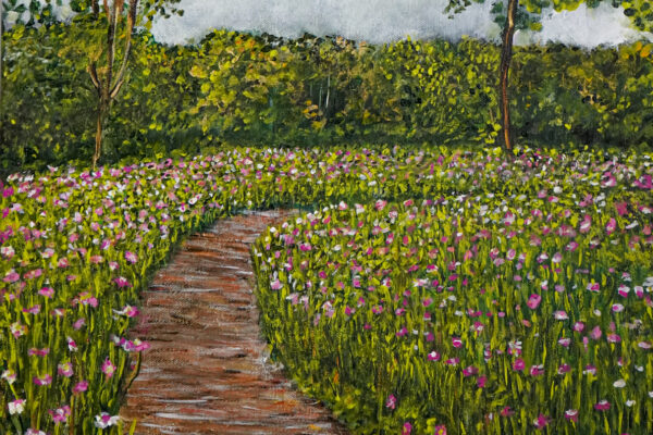 A Walk in the Valley